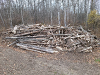 Firewood