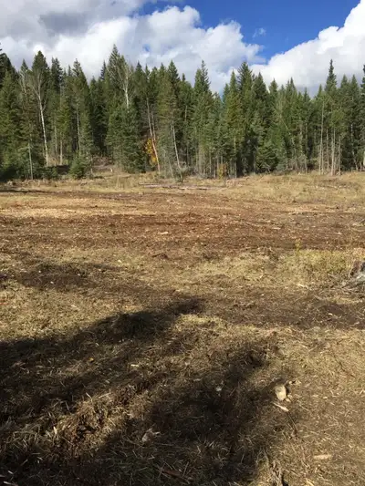 Start your own business or clear your land … Read the whole ad Please appreciate it …to much to list...