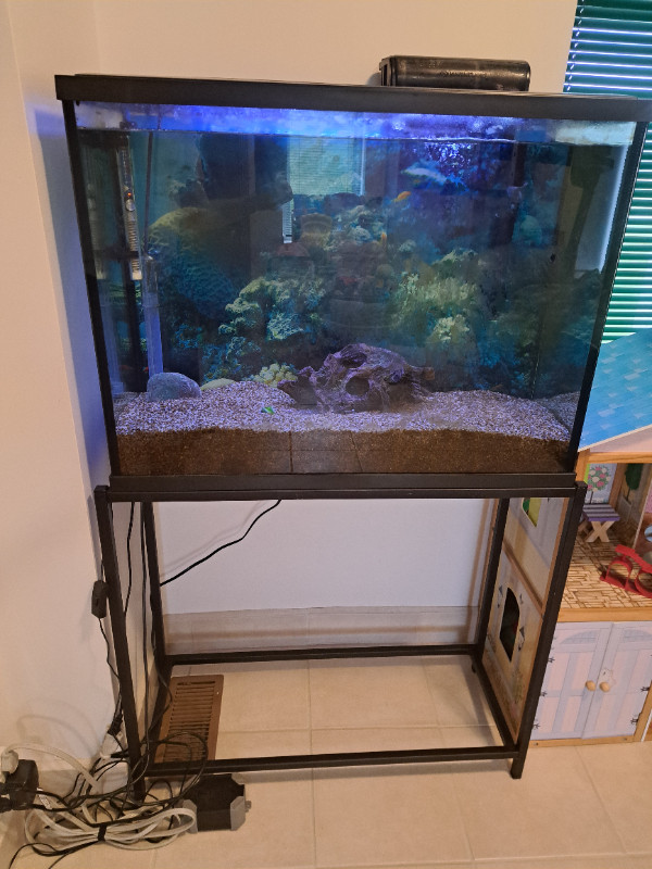 Aquarium - 40 Gallon in Accessories in Kingston