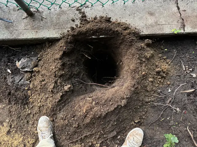 Post Hole Digging Service 564265650729134083