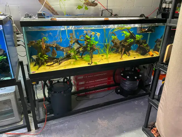 135 gallon aquarium in Accessories in Mississauga / Peel Region - Image 5