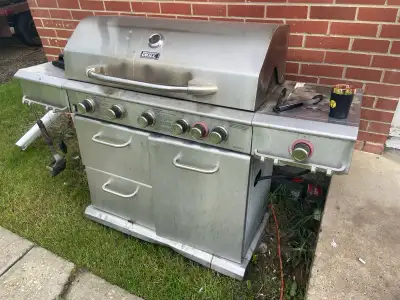 Backyard BBQ, View more