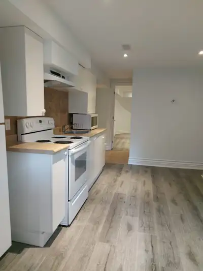 a one-bedroom basement apartment for rent. available from Jun 15. Location: Maple, close to Major Ma...