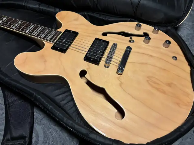 Indie 335 Gibson-Style Guitar (With $1400 in upgraded specs!) in Guitars in City of Montréal - Image 2