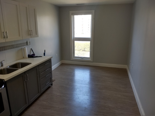 1 Bedroom Apartments for Rent in Long Term Rentals in Oshawa / Durham Region