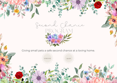Second Chance Program | Small Pet Surrender & Adoption, View more