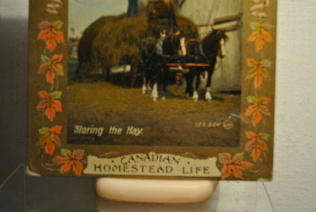 STORING THE HAY, POSTCARD, CANADA, CANADIAN HOMESTEAD LIFE, PATR in Arts & Collectibles in Vancouver - Image 2