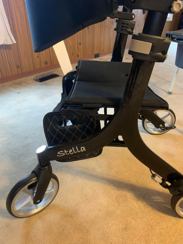 walker for sale in Health & Special Needs in Brockville