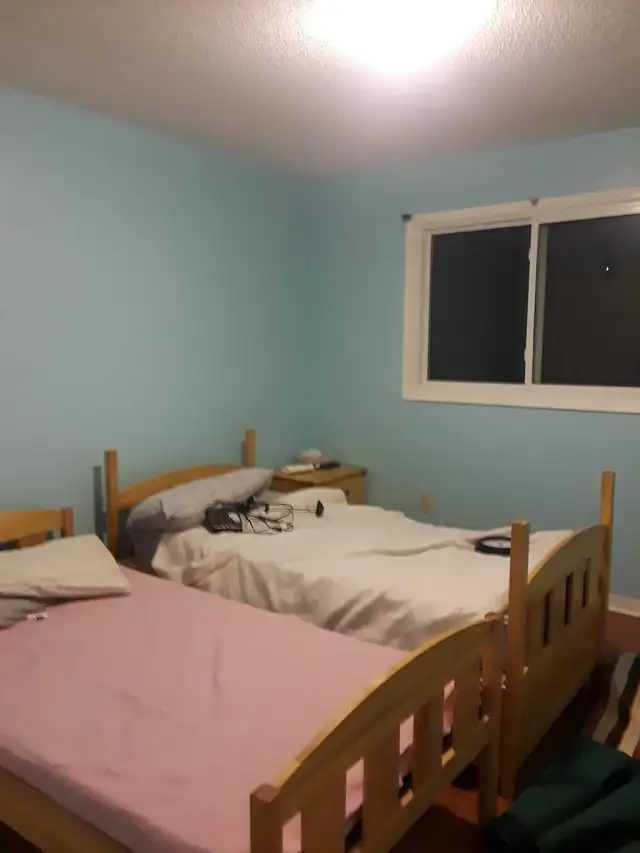 Painter Available 65561323552385122