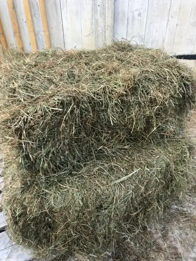 First and second crop hay for sale, horse quality. Listed for someone else so please call the number...