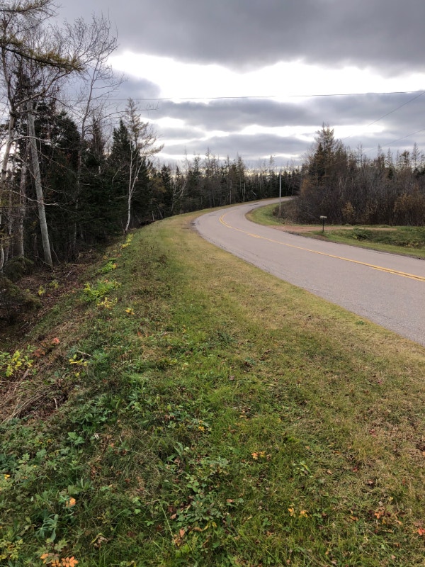 Launching woodlot/mini farm (25 acres) with ocean frontage Land for