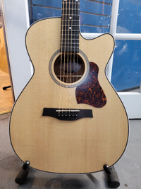 guitare guitar godin instrument seagull