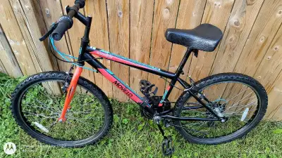 24" Movelo Algonquin Mountain bike - excellent condition, View more