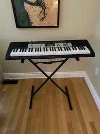 Casio Keyboard and Stand 