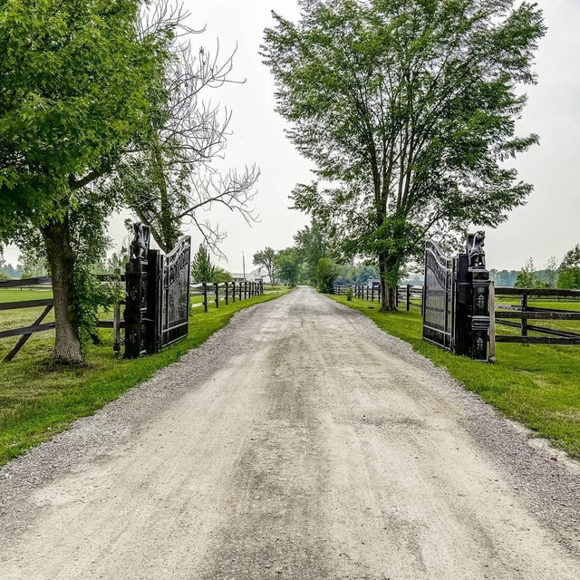 Horse board  in Equestrian & Livestock Accessories in Hamilton - Image 4