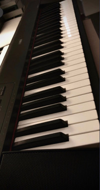 Yamaha Piaggero NP-12B Keyboard *MINT*