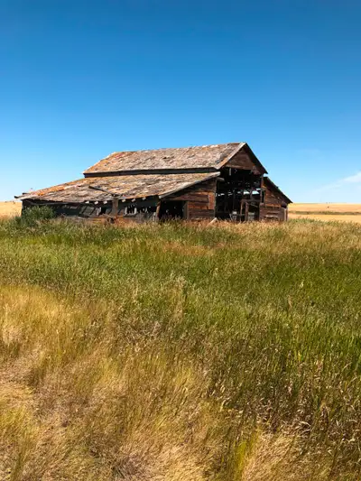 Barn Wood, View more