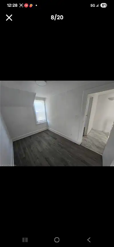 room for rent in hamilton