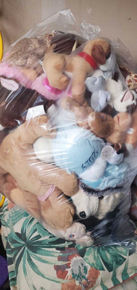 Free, large bag FULL of stuffed toys