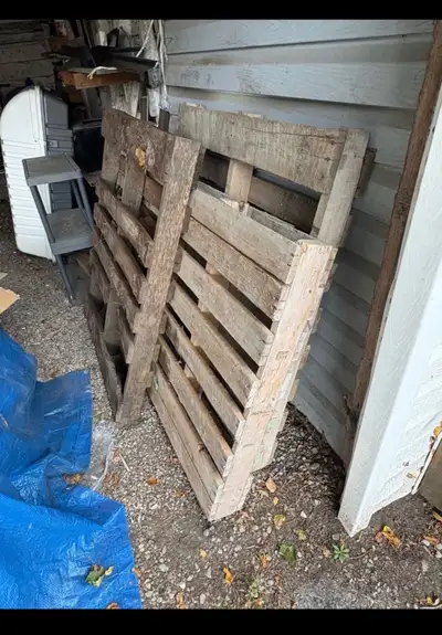 Free wooden pallets. 5 left