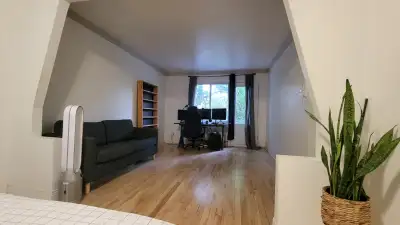 appartement 3 1/2 Hochelaga (station Joliette)
