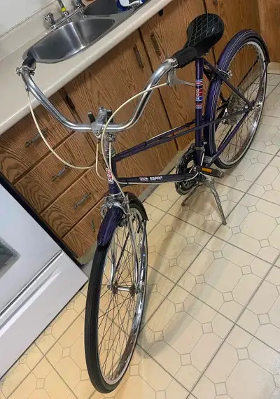 Vintage CCM Esprit Bicycle - Metallic Purple, View more
