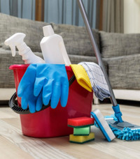 Cleaning service available 