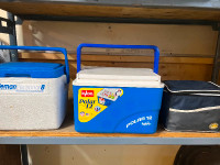 Cooler/ lunch box