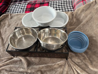 Dog Bowls 