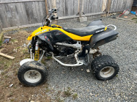 2010 can am ds450