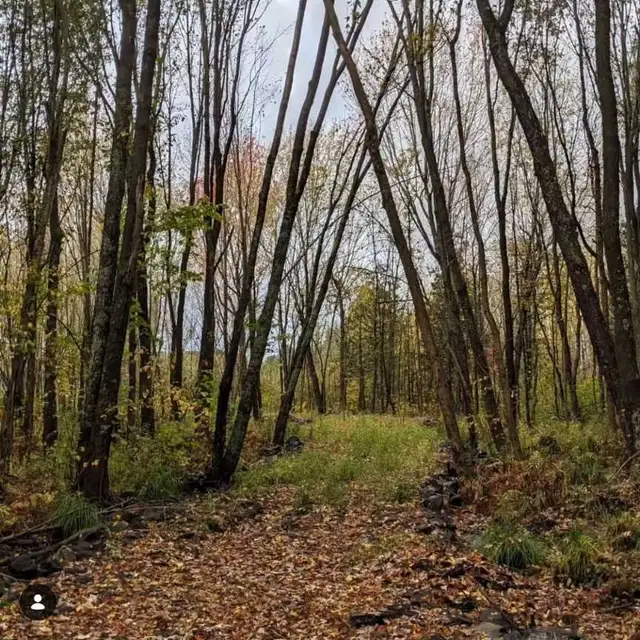 Private camping sites available 2 hr from Toronto in Ontario in Canada - Image 4