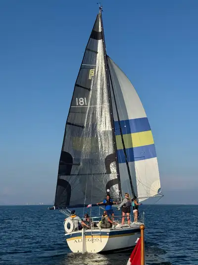 1982 Pearson Flyer 171 Repowered with Yanmar 1GM10 ( 2023) Precision sails polyester Main sail (2020...