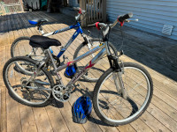 Adult Bicycles For Sale
