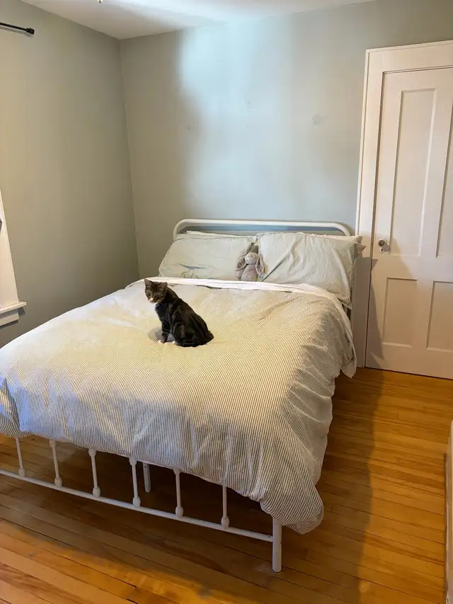 1 bedroom apartment  in Long Term Rentals in Fredericton - Image 3