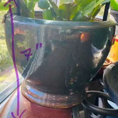 Pricing is per pot, or make me an offer on the lot. These used plant pots, ranging from 7-9 inches,...