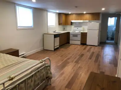 Beautiful basement bachelor on St Urbain, Ahuntsic $925