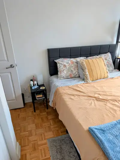 Room for rent in saint clair and younge, Pet friendly!
