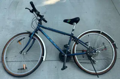 Blue mountain bike. Bicycle. I deliver!, View more