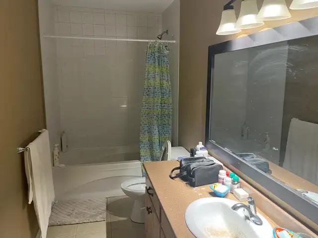 Room for Rent in Room Rentals & Roommates in Saint John - Image 3