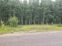 4½ acres lots available in Elk Point