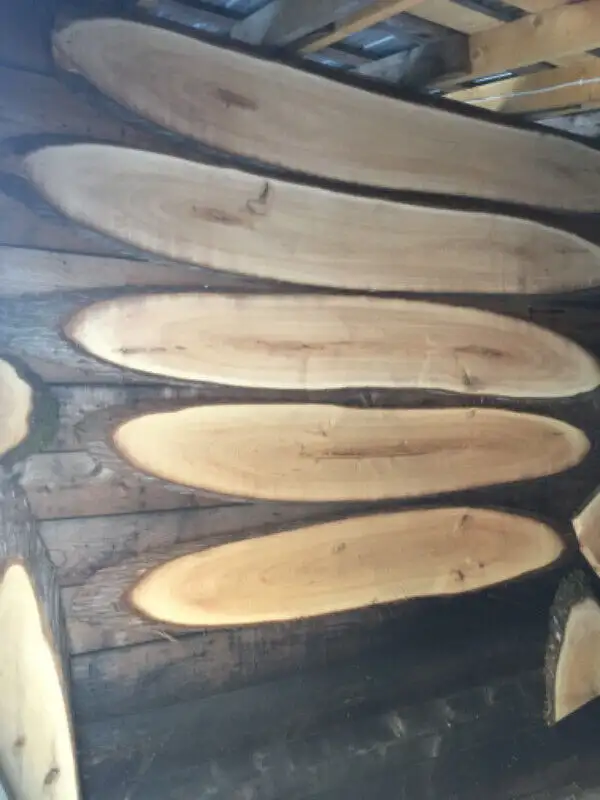 Enseigne Bois Cèdre live edge in Arts & Collectibles in Edmundston - Image 5