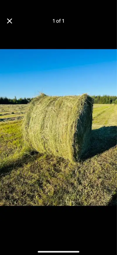 hay for sale , View more