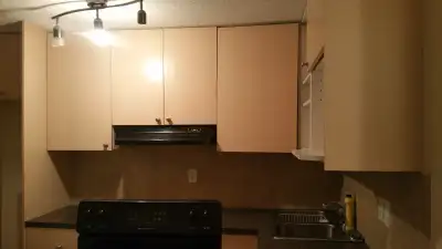 - 2 Bed, 1 Full Bath - Separate Kitchen, Entrance and Laundry - Rent & Utilities: $1,000/month + 40%...