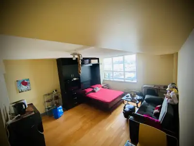 Bright and well-designed furnished studio unit in a secure building with 24-hour concierge service....
