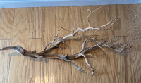 Branch Sculpture 