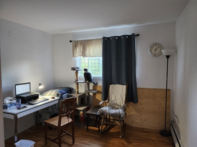 Recherche colocs/ chambre à louer dans Sherbrooke — photo 1