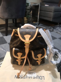 LV Excursion backpack and Neverfull BB bag