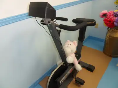 vélo exerciseur PT fitness 418-660-4885