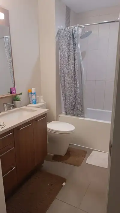 Private Bedroom in 2-Bedroom 1 bath UBC Housing (Available immediately), fully furnished Looking for...