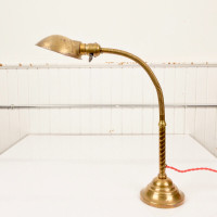 Antique Brass Faries Co. Gooseneck Desk Lamp